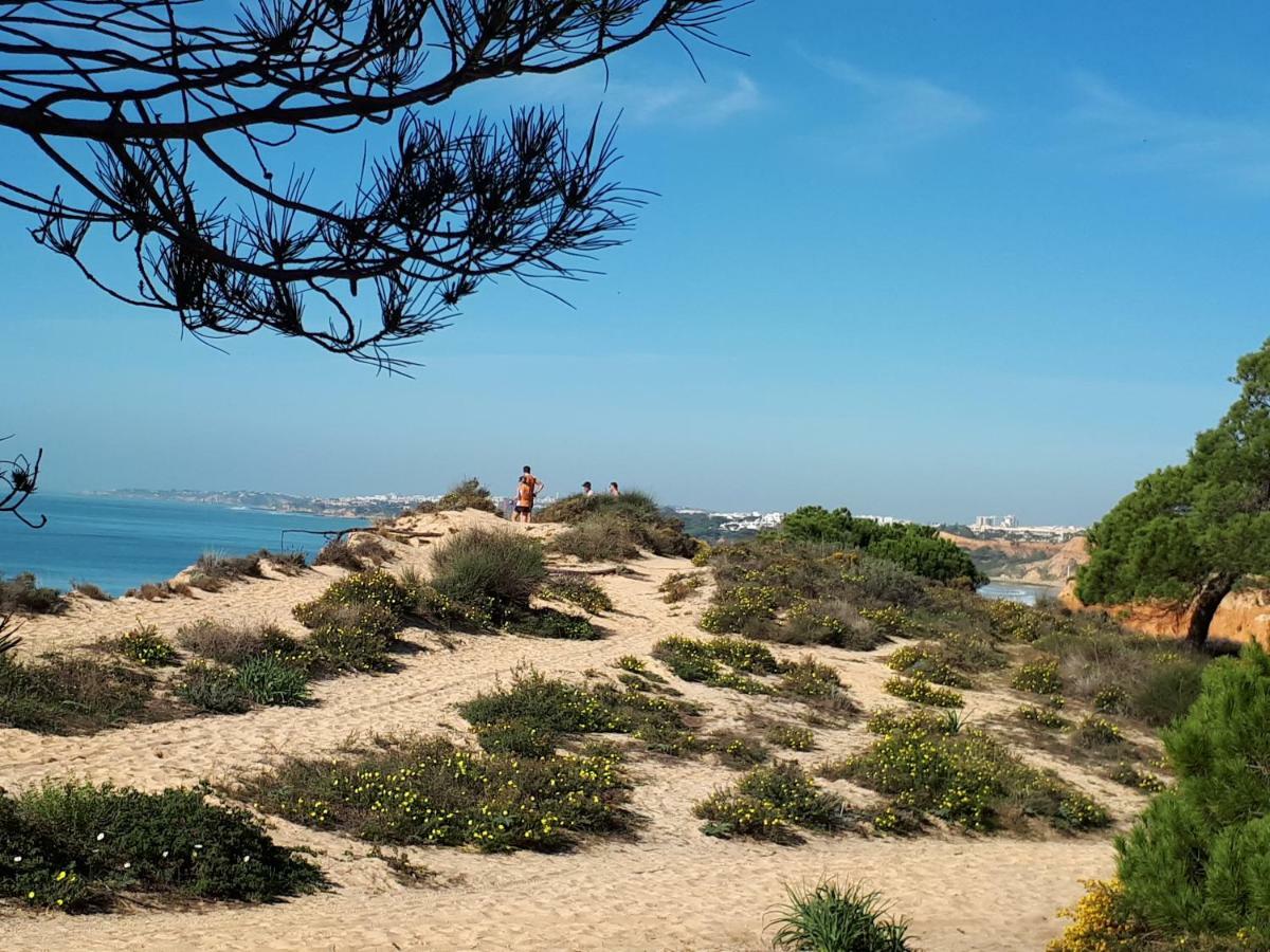 Apartamento Albufeira 6 B מראה חיצוני תמונה
